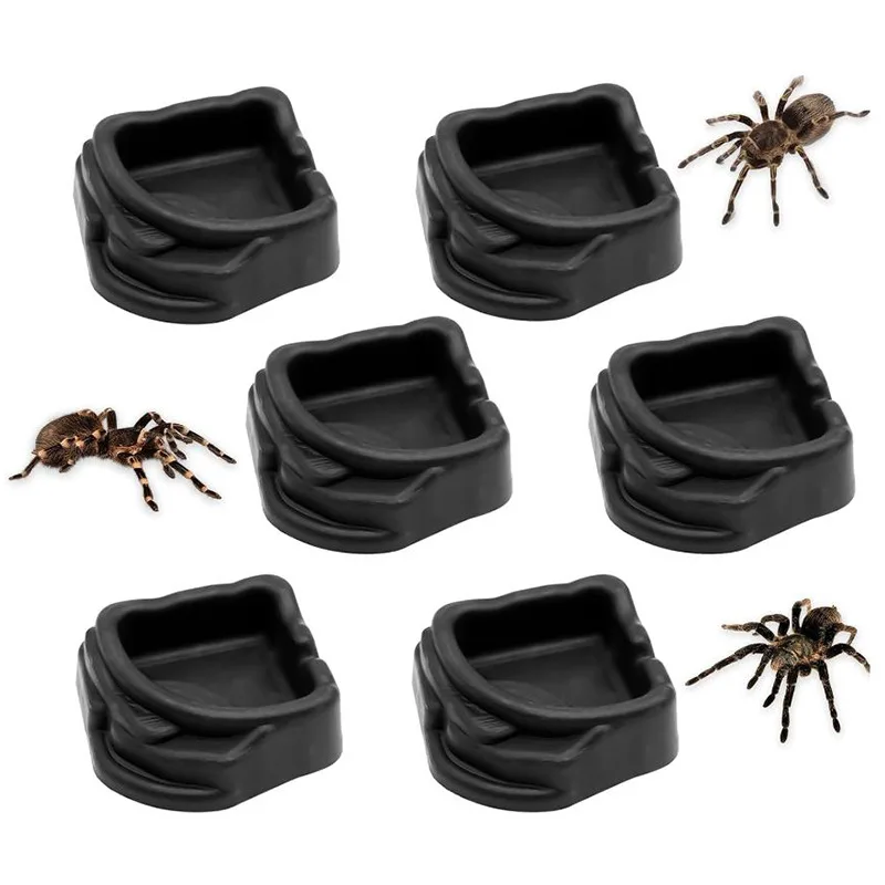 #29 Reptile Water Bowls Comparison Guide