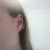 Trend Stainless Steel Feather Ear Clip For Man Women Korean Fashion Design Leaf Hoop Earrings Punk On Drop Piercing Ear Jewelry