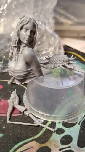 Buyer photo of this resin kit