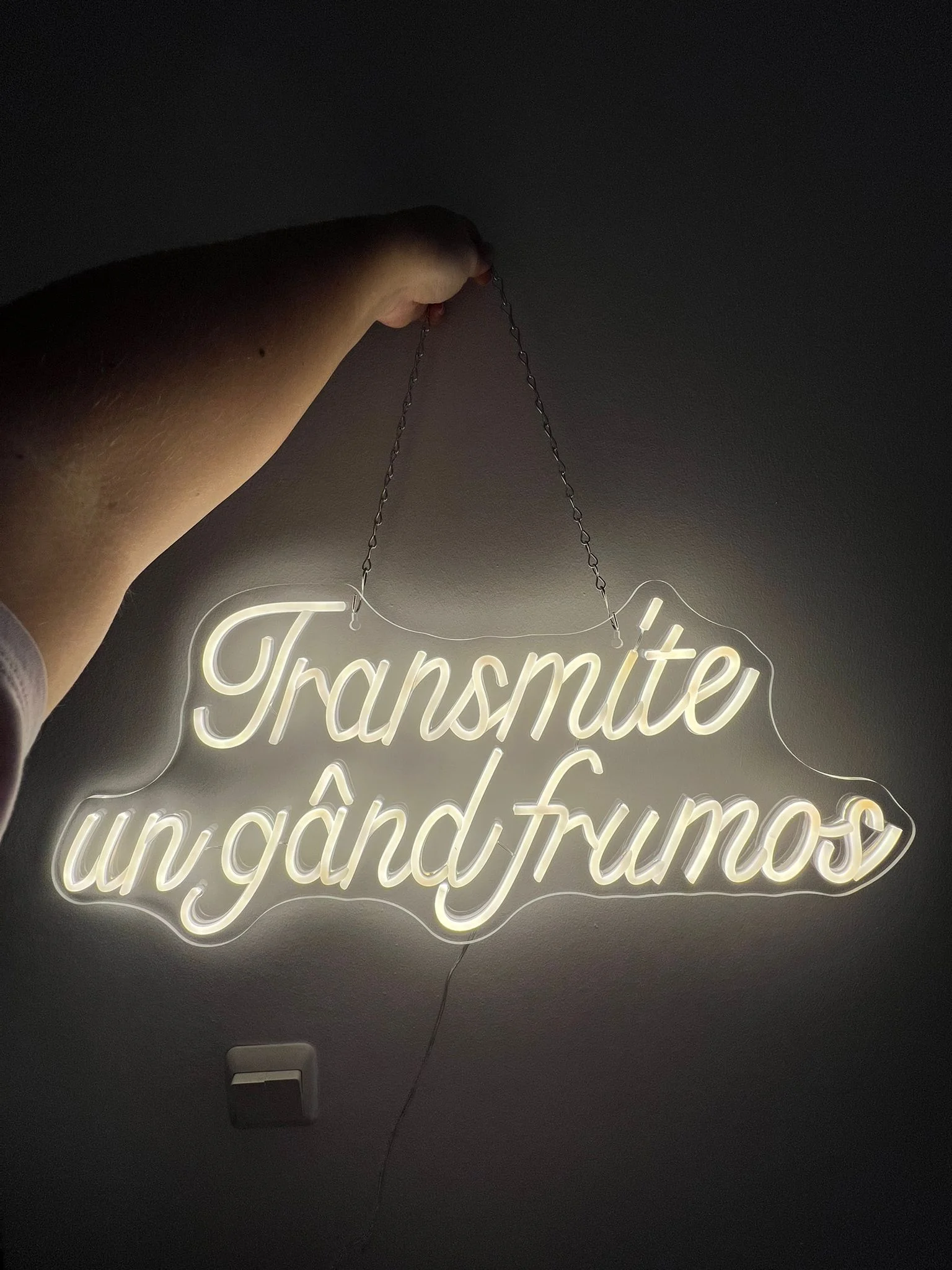 Custom Name Neon Sign For Wedding Customized Led Neon Gaming Room Decoration Wall Night Light Business Name Logo Birthday Gift