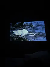 Review photo 3