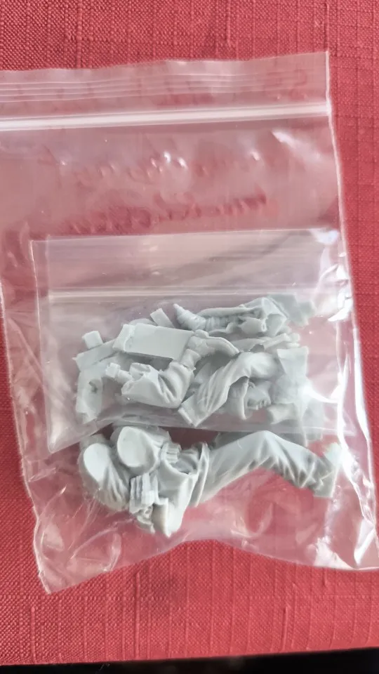 Buyer photo of this resin kit