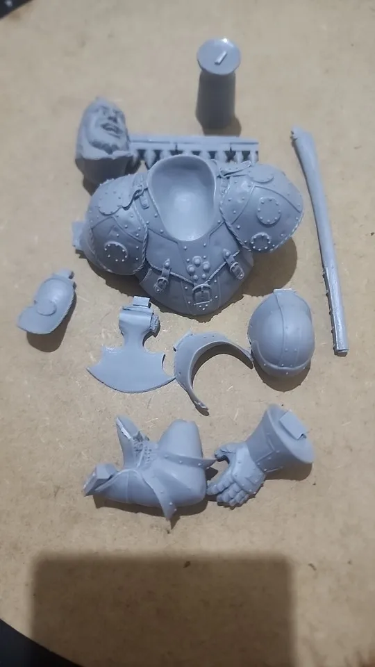 Buyer photo of this resin kit
