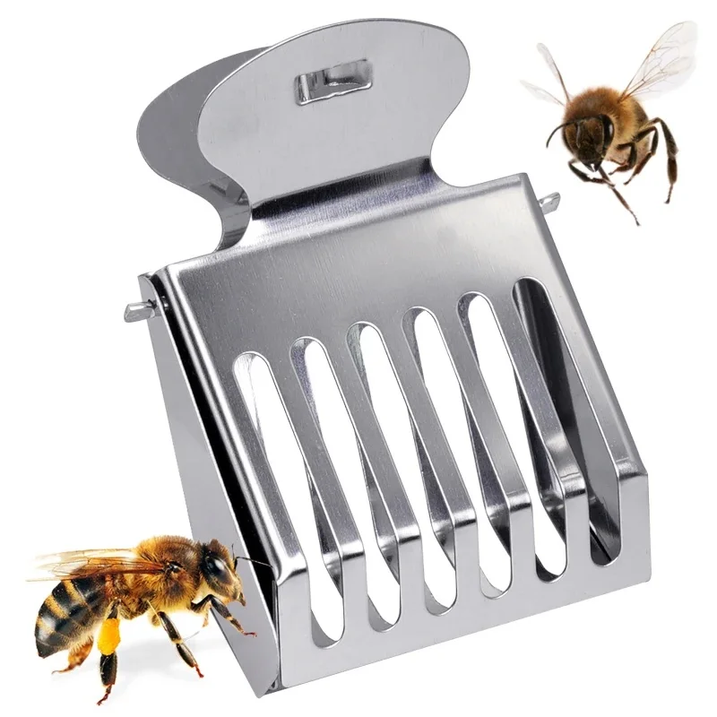 1 pièces abeille reine Cage Transparent en plastique pince Cage abeille receveur boîte en acier inoxydable pince Apiculture équipements apiculteur équipement