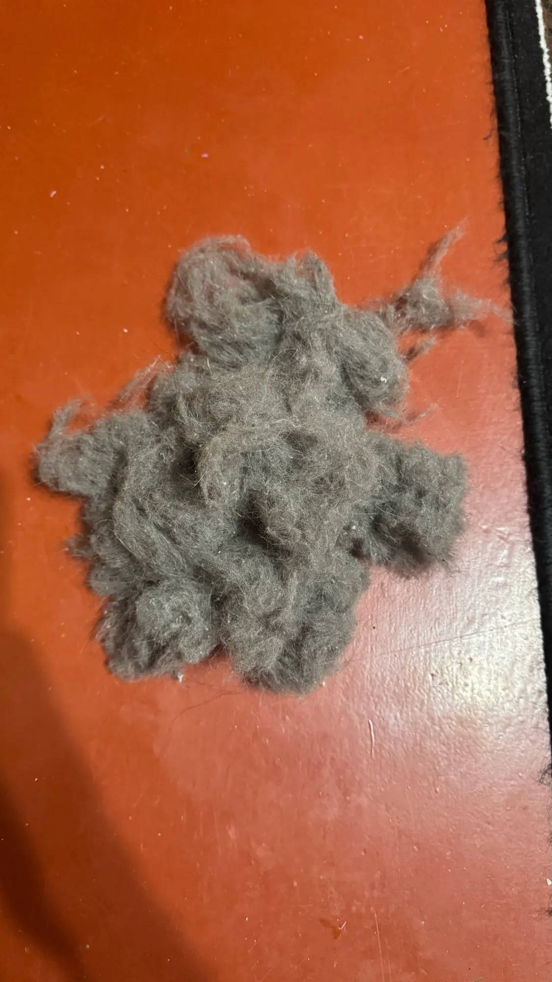 Customer review photo for Manual Pet Hair & Lint Remover Brush