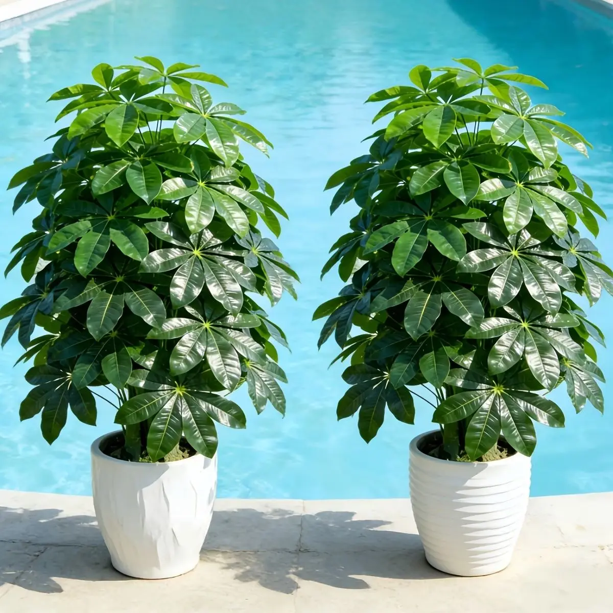 

Искусственное денежное дерево (Пахира Акватика) для дома, офиса, гостиной, для декора внутри и снаружи помещений (2 шт., 63 см)