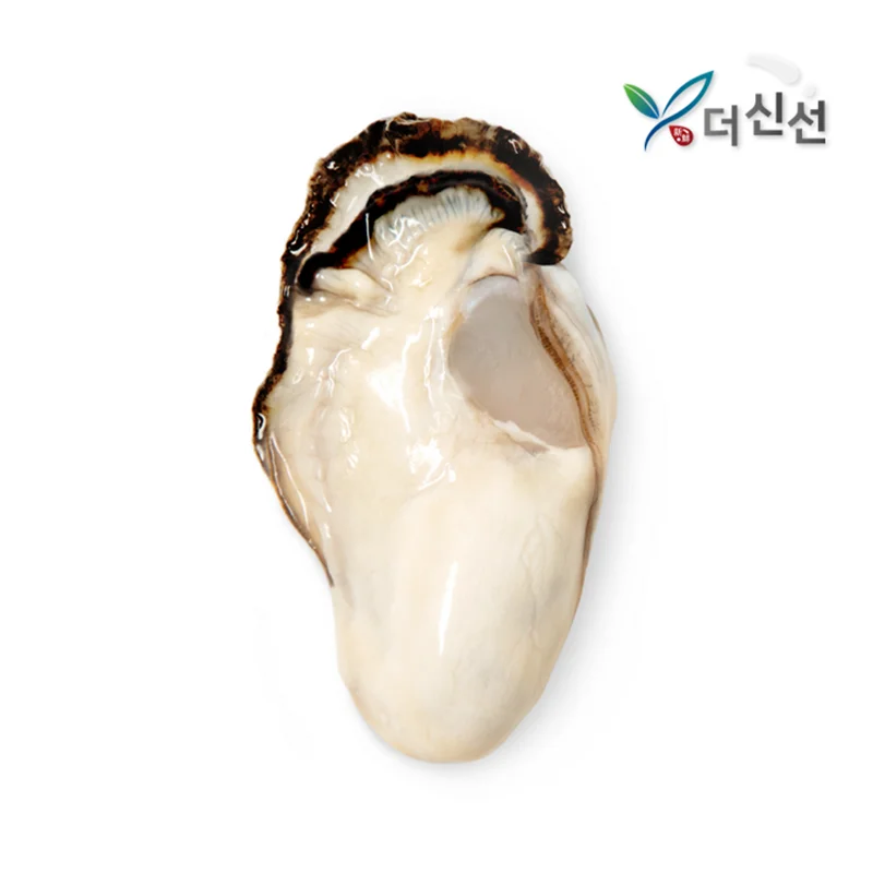 1kg of oyster from Tongyeong