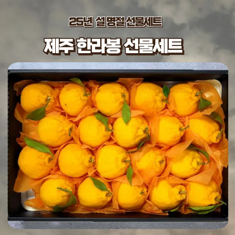 [Footy N] Jeju's Lappong Gift Set 1.5kg-4.5kg (can be selected from small and medium)/Preorder sales to be released around December 23, 2024