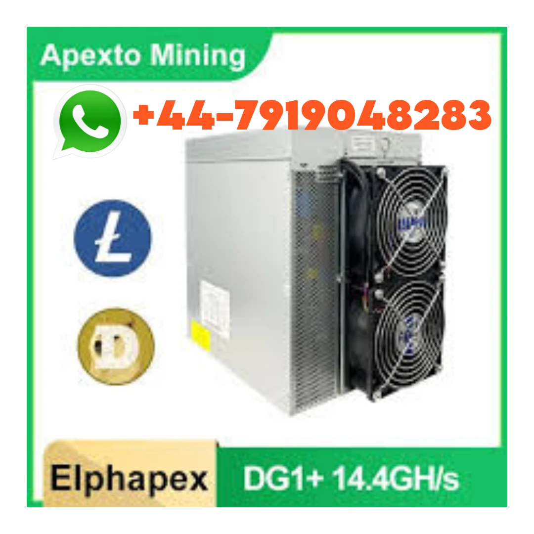 CRYPTOistro ITE DU DOGE ELPHAPEX DG1 + 14 GH/S 0.28 J/laissée/3920W LTC, Nouveauté