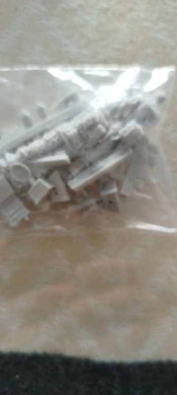 Buyer photo of this resin kit