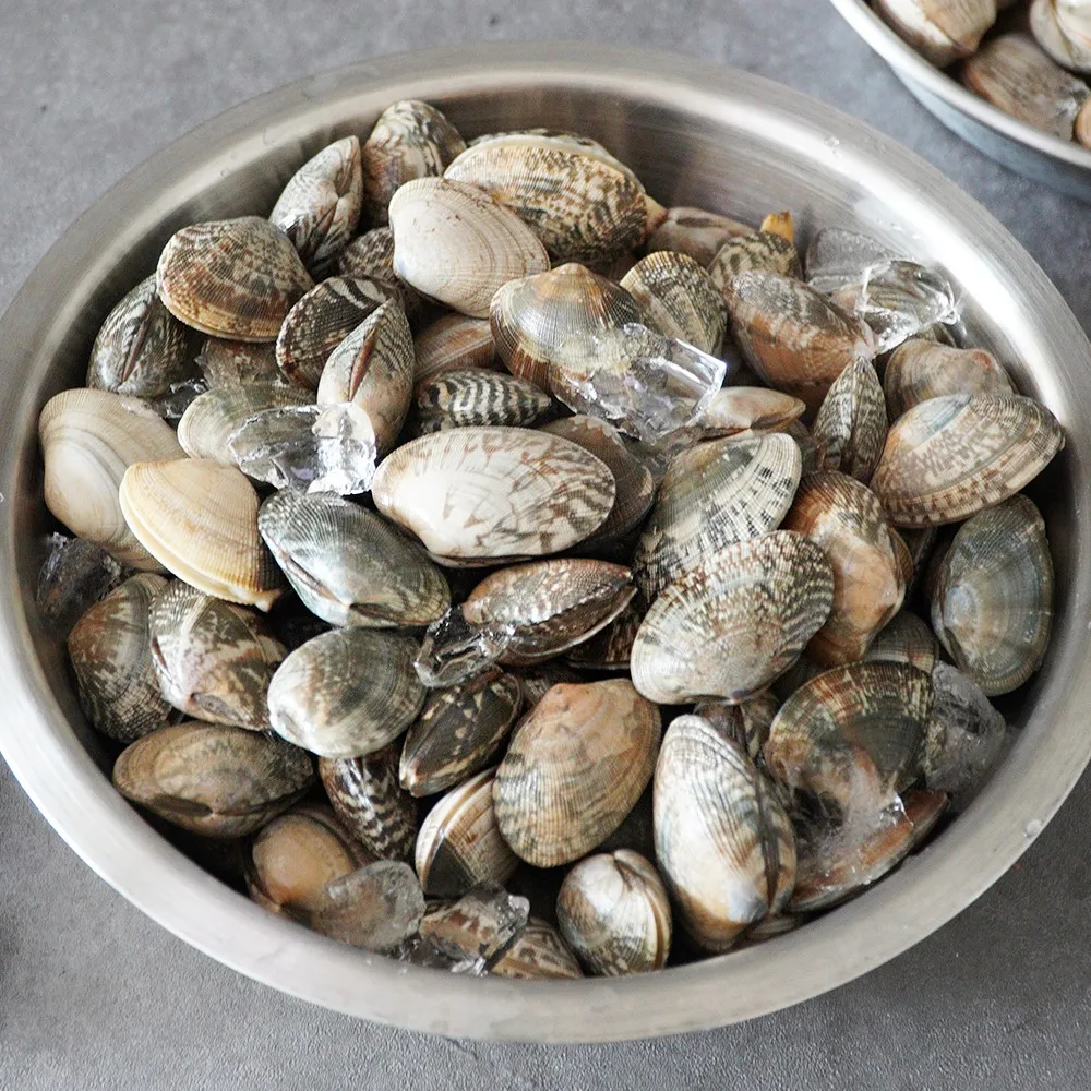 Korean shell clams/peeled clam meat