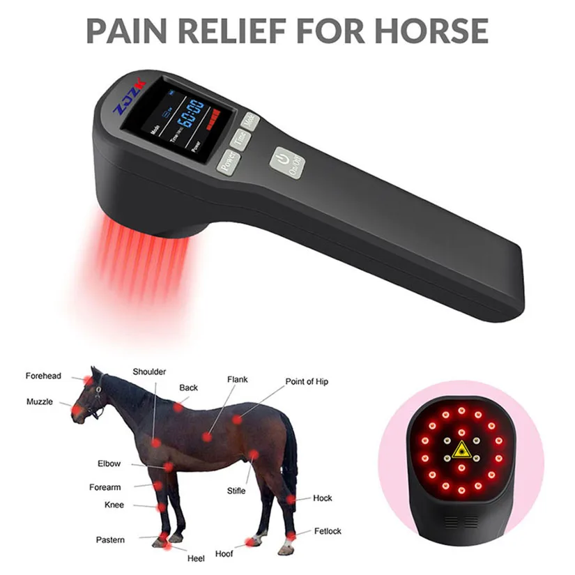 Horse cold laser device pain relief physiotherapy instrument 808nm 650nm 20 diodes 880mW for anti-inflammation tissue repair