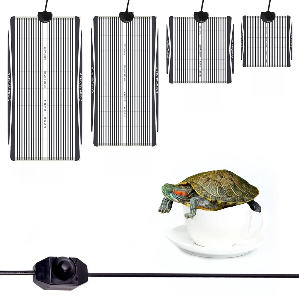 5W 15W 25W 35W Plug Warm Plant Heating Mat Graphene Reptiles Heat Pad avec régulateur de température réglable Thermostat Couverture Étanche Incubateur pour Lézard Tortue Serpent