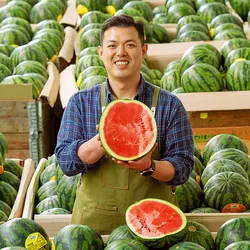 [초특가]수박 고당도 맛있는 꿀 수박 당일수확 당일배송 6~9kg[cs보장]