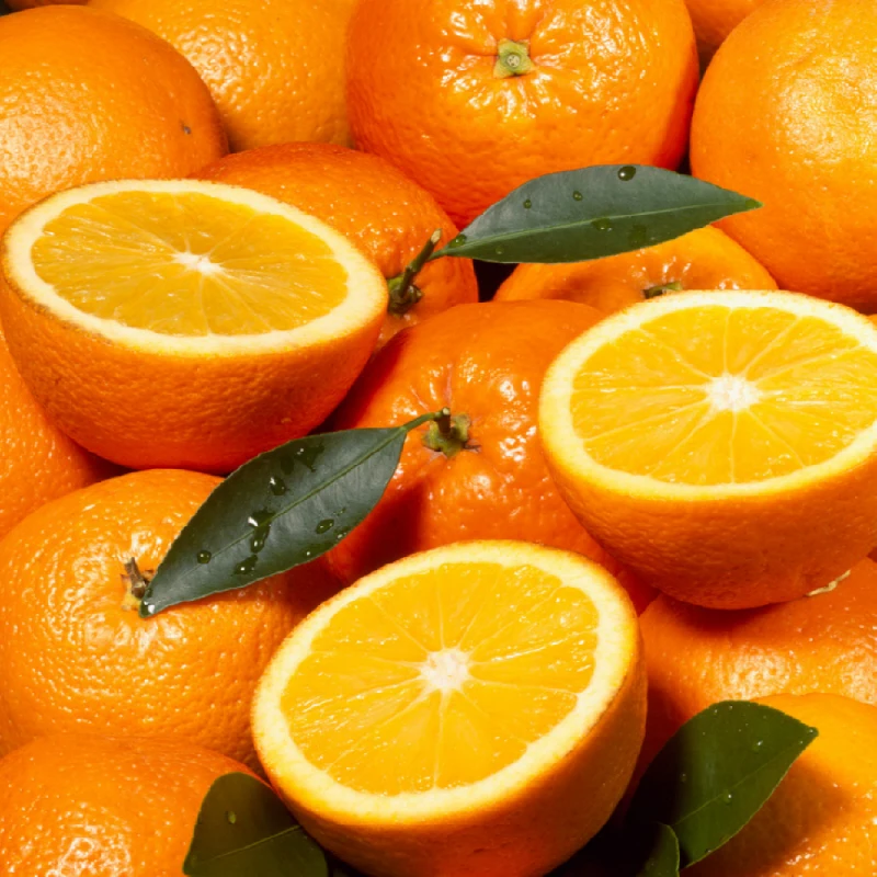 التسمية الأمريكية السوداء البرتقالية