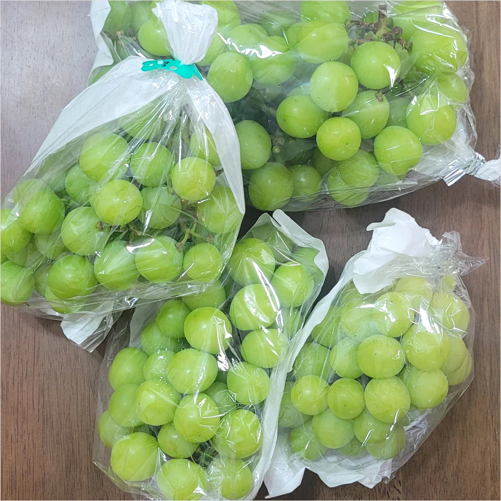 고당도 프리미엄 경북 샤인머스켓 1kg 2kg 안심포장 가정용 선물용