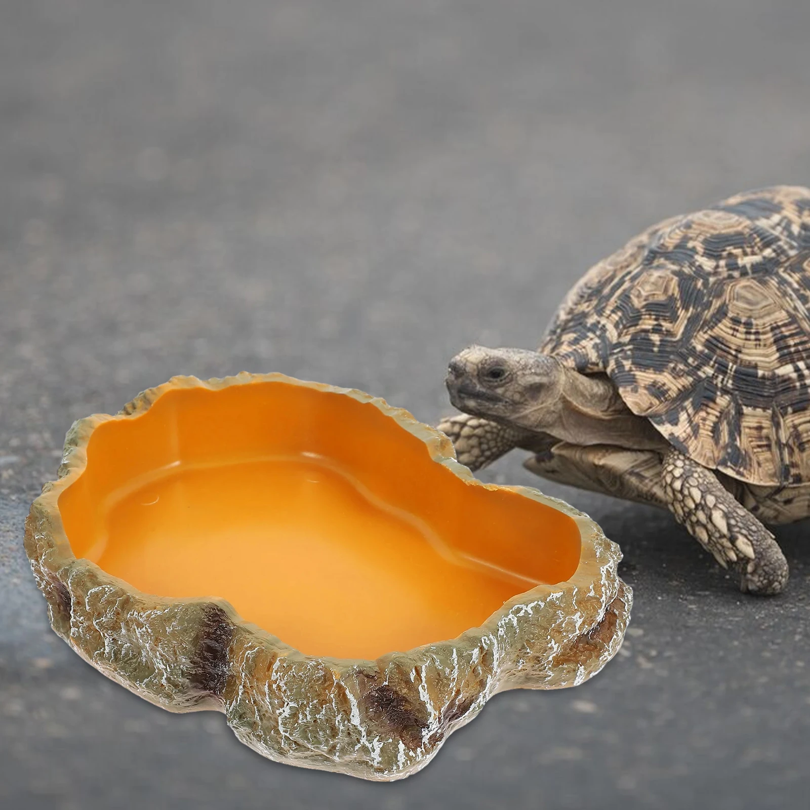 Thumbnail 3 - #10 Latest Reptile Water Bowls Offers