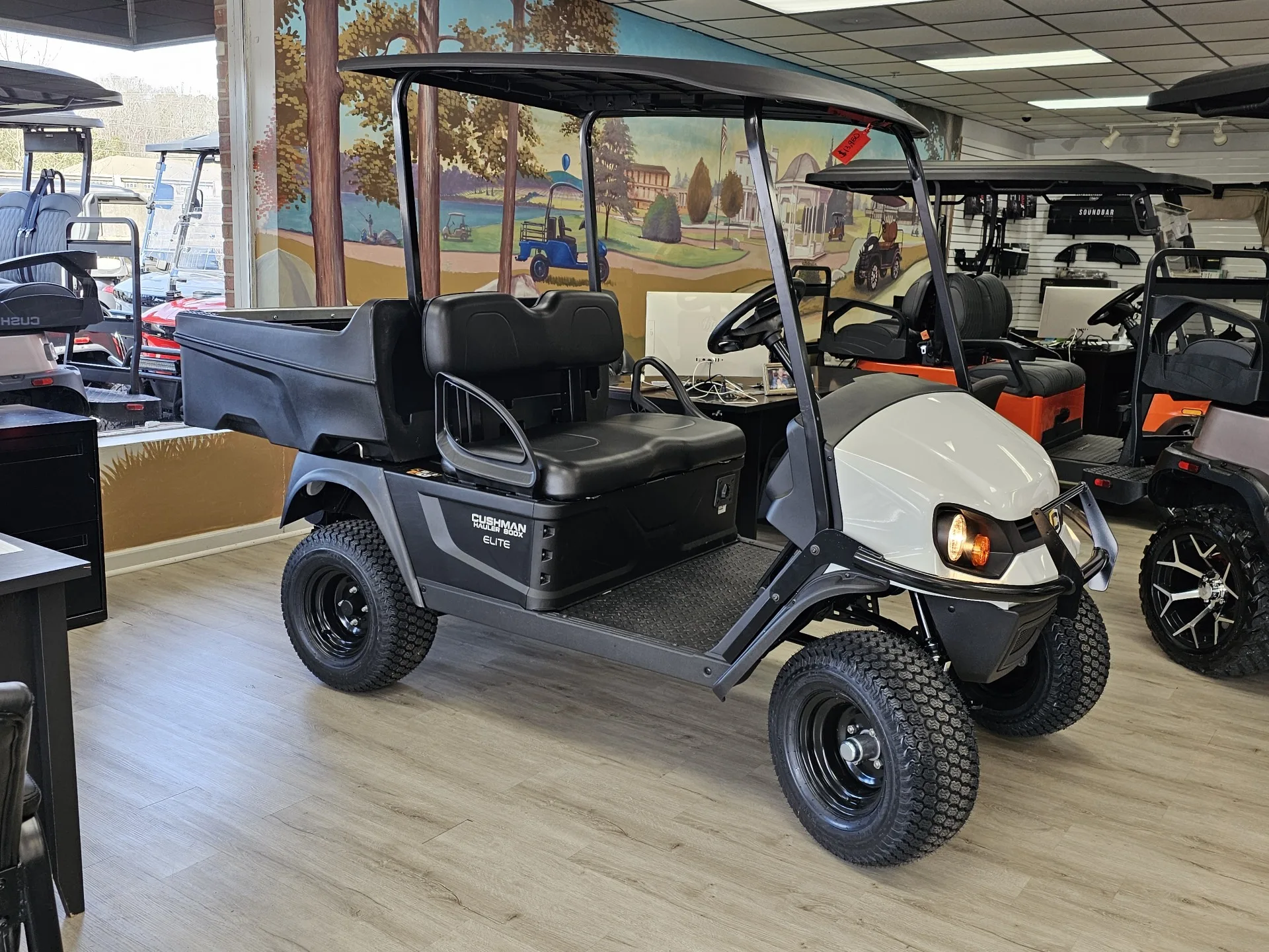 

BRAND NEW Cushman Hauler 800X ELiTE lithium, utility vehicle All-terrain Tires Power lift on the cargo bed Best Price