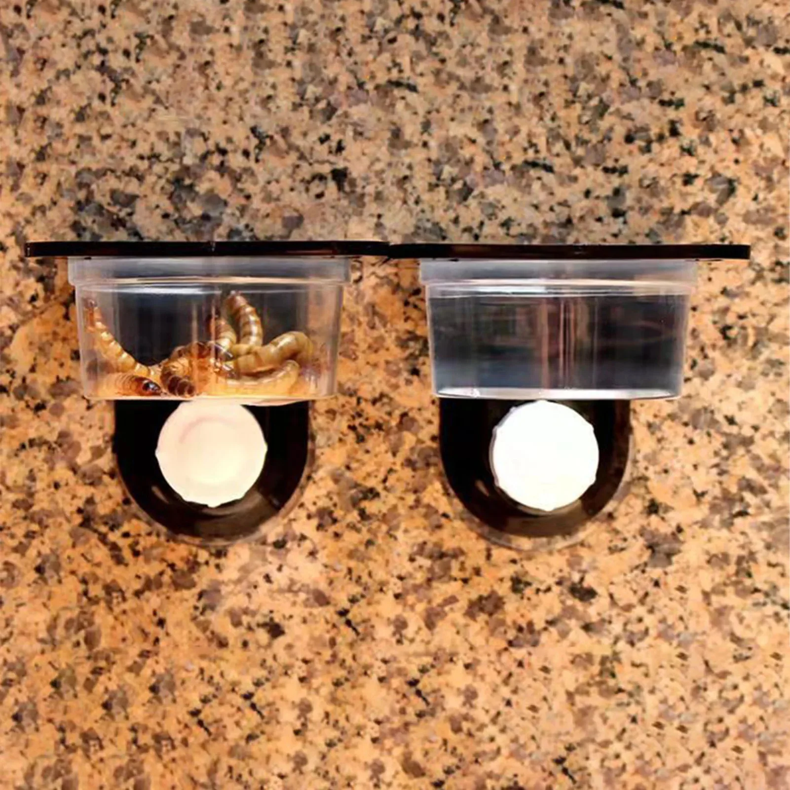 Base d'alimentation pour Gecko en plastique noir, gain de place, reptile, pour lézard, Gecko, accessoires pour animaux de compagnie, fournitures