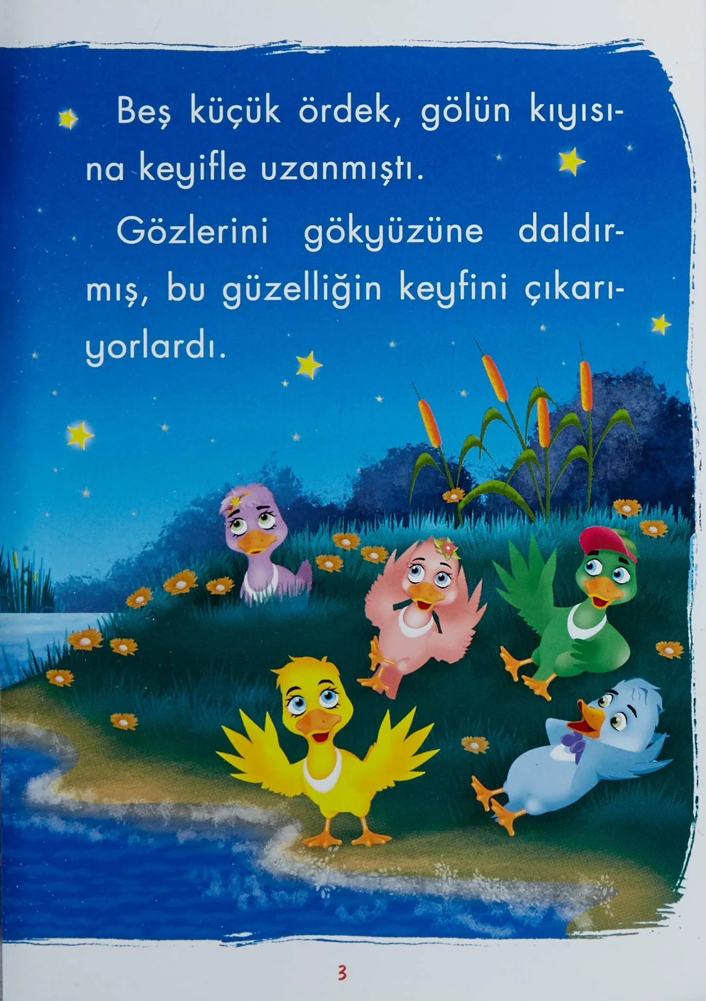 Turkish Mini Tales Set 1-2-3-4 (40 Books) Ages 3 - 6, Fairy Tale Books, Fun Informative Educational Stories for Kids