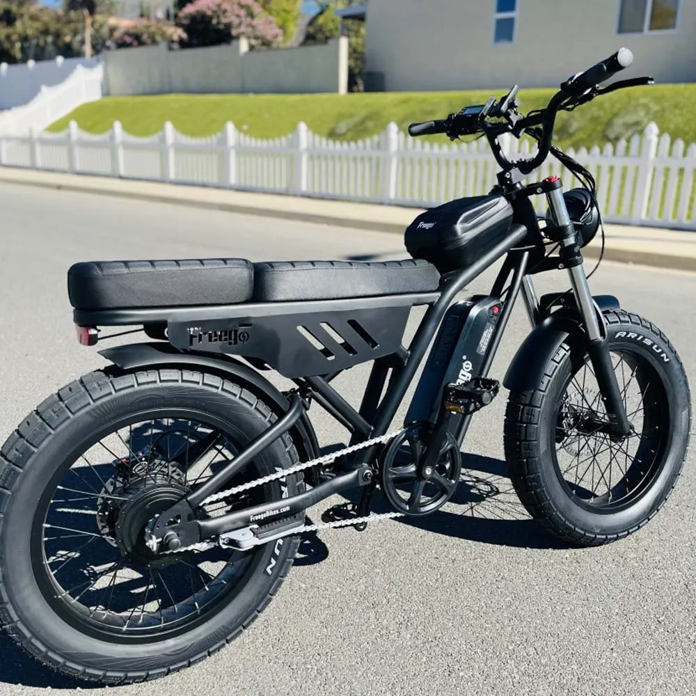

New FREEGO F0 Electric Bike for Adults 20 Inch Fat Tire Off Road E-bicycle 48V 10.4AH Battery Powerful Mountain Electric Bicycle