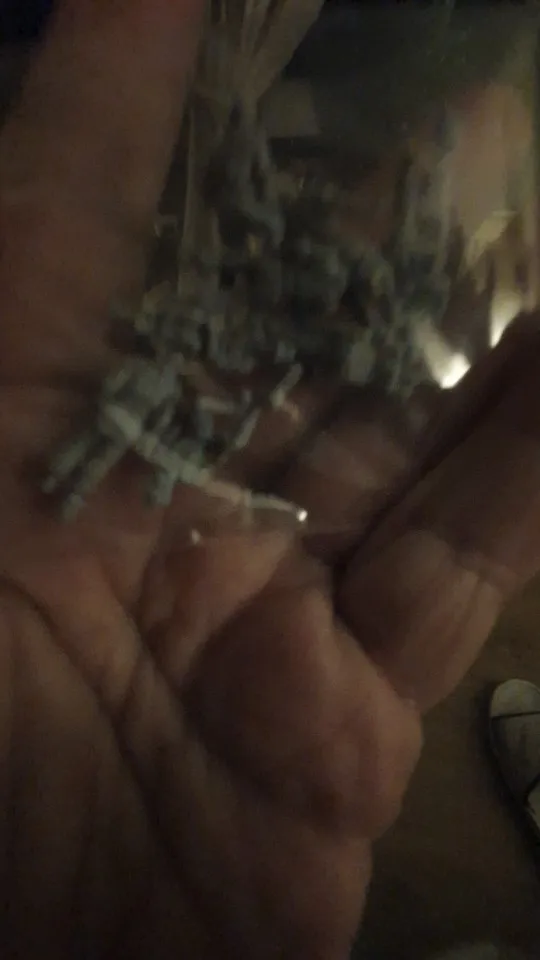 Buyer photo of this resin kit