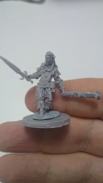 Buyer photo of this resin kit