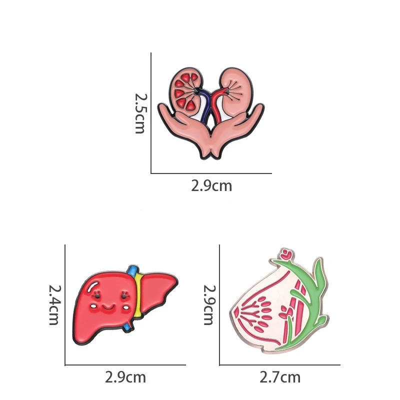 Creative Cartoon Medical Organ Series Enamel Brooch Kidney Lung Breast Lapel Pin Badge Backpack Clothing Hat Accessories