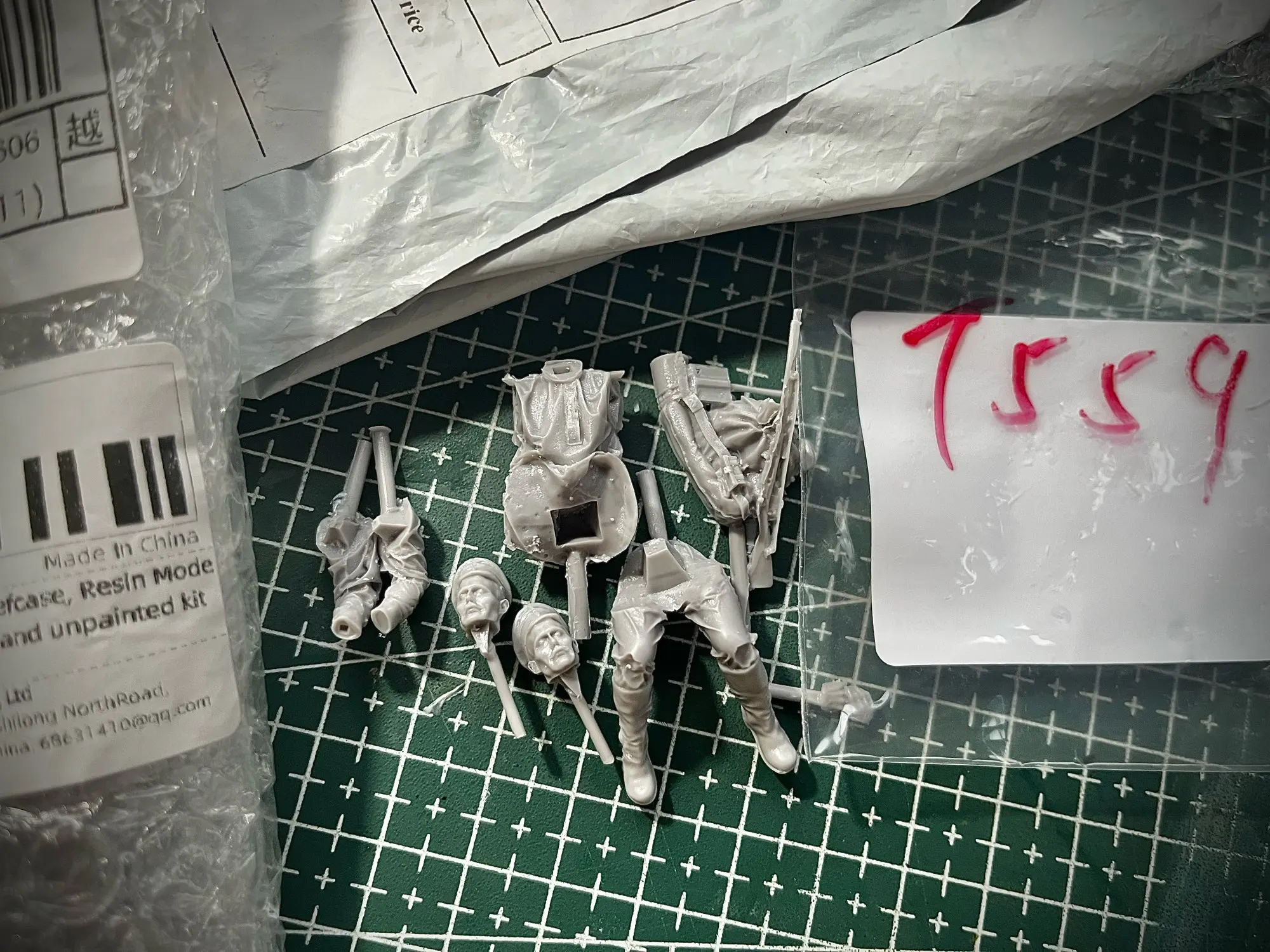 Buyer photo of this resin kit