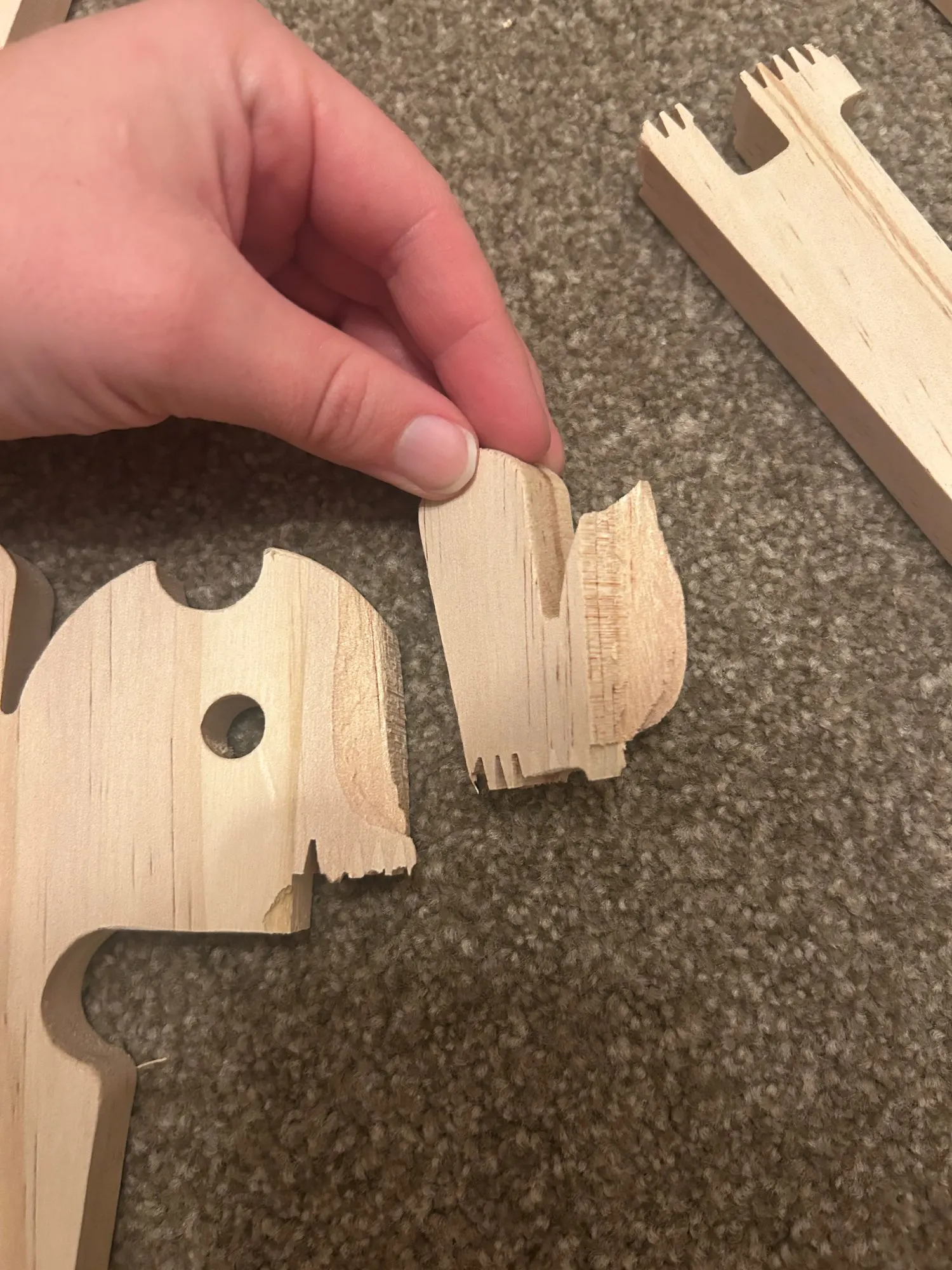 Customer review photo