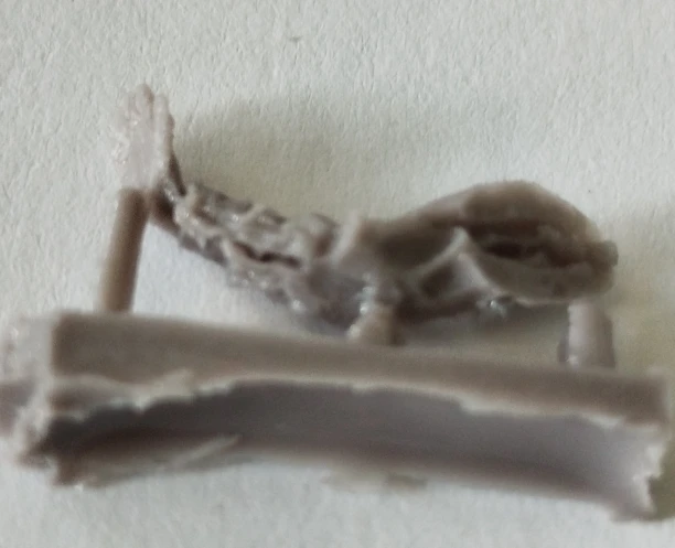 Buyer photo of this resin kit