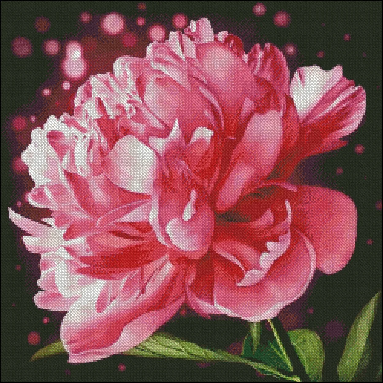 Blooming Peony - Counted Cross Stitch Kits - DIY Handmade Needlework Embroidery 14 CT Aida Cross Stitch Sets DMC Color