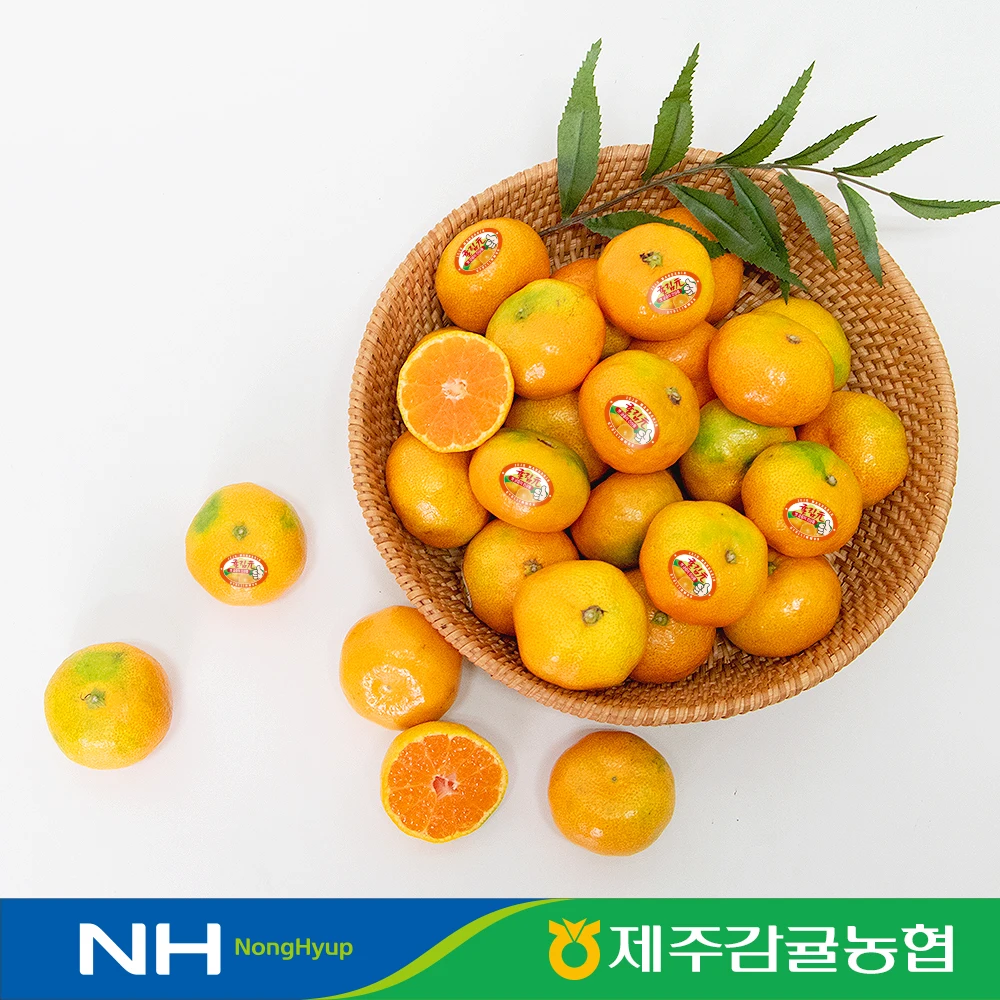 [Jeju Citrus Agricultural Cooperatives] mandarin 3kg (small fruit/bite) 11Brix or more genuine Agricultural Cooperatives