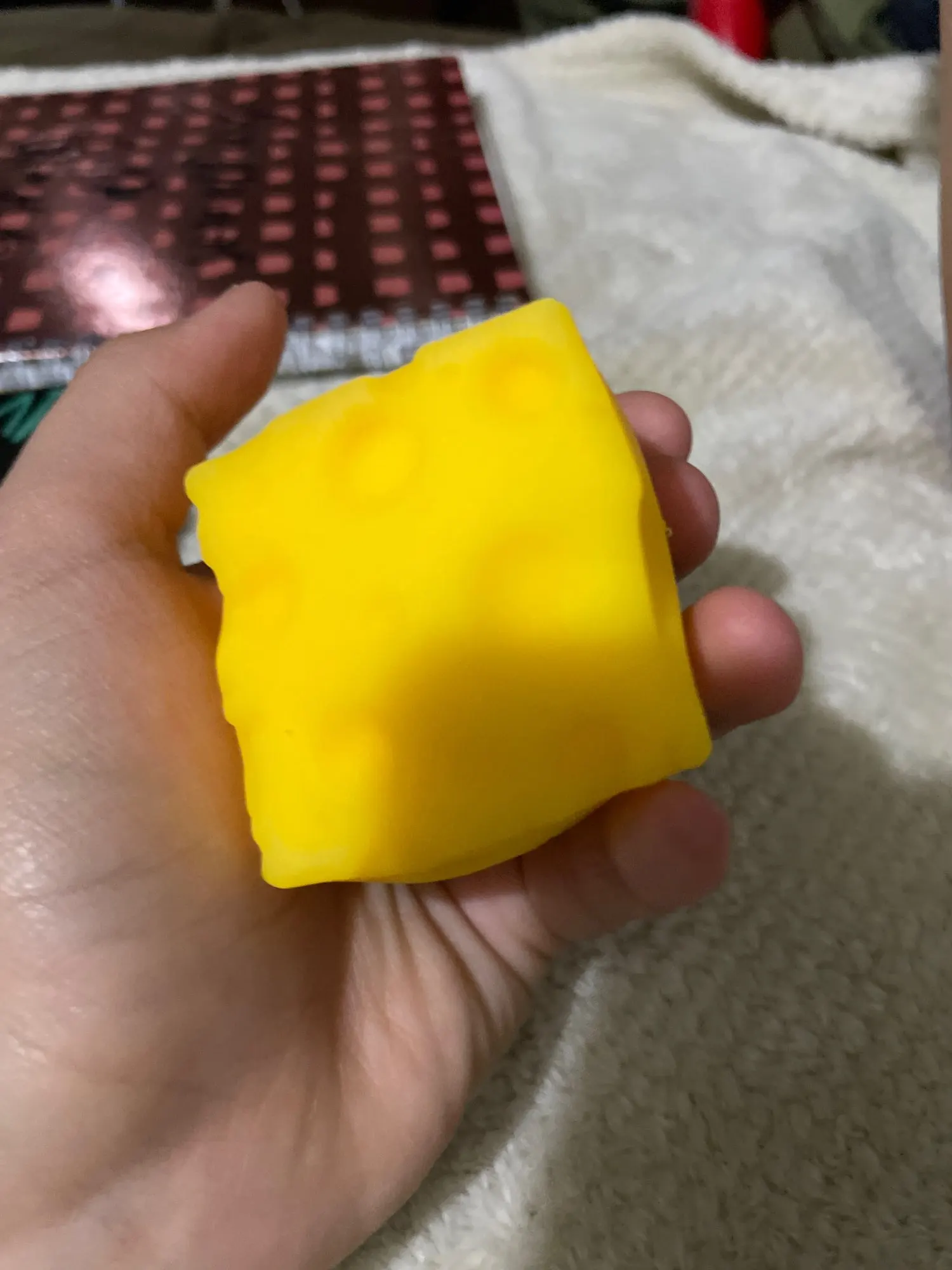실물 포토 리뷰