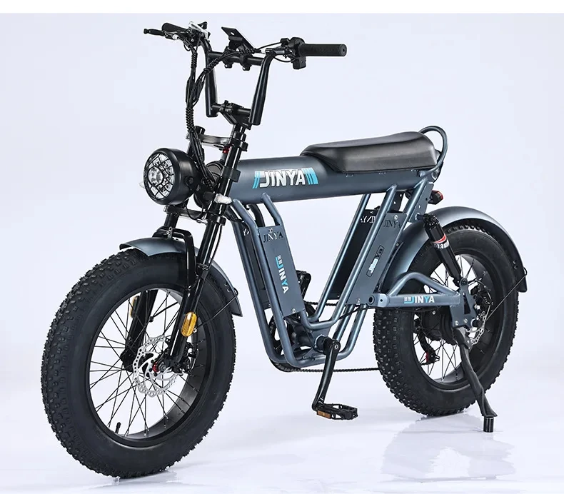 2025 New Dirt Bikes Bike Mountain Electric Fat Tire Ebike Electric City Bike 48v Electric Sport Lithium Battery 48V 7 Speed