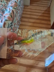Imagen de reseña 1