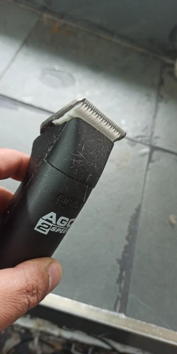 리뷰 사진