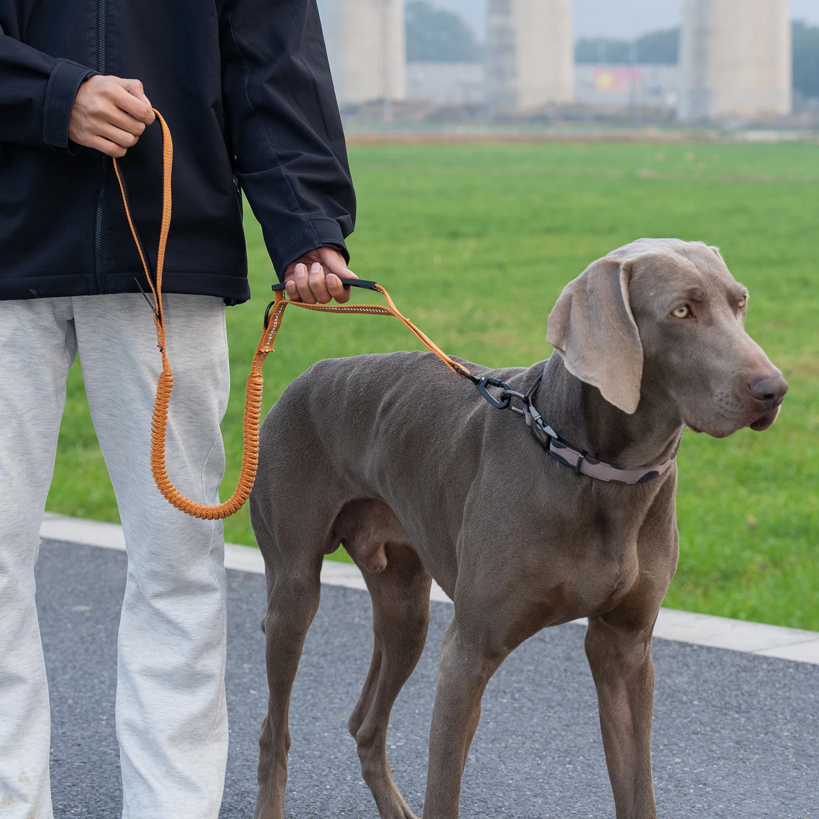 Taktische Hundeleine Robuste Reflektierende Starke Anti-Zug Bungee-Leine für Mittelgroße und Große Hunde mit Komfortablem Gepolstertem Doppelgriff – Detail 19