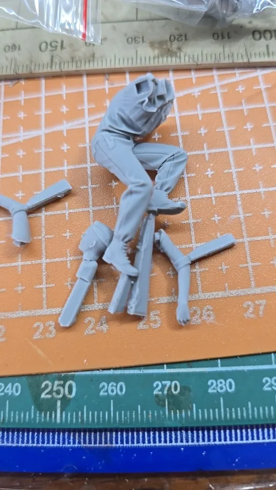 Buyer photo of this resin kit