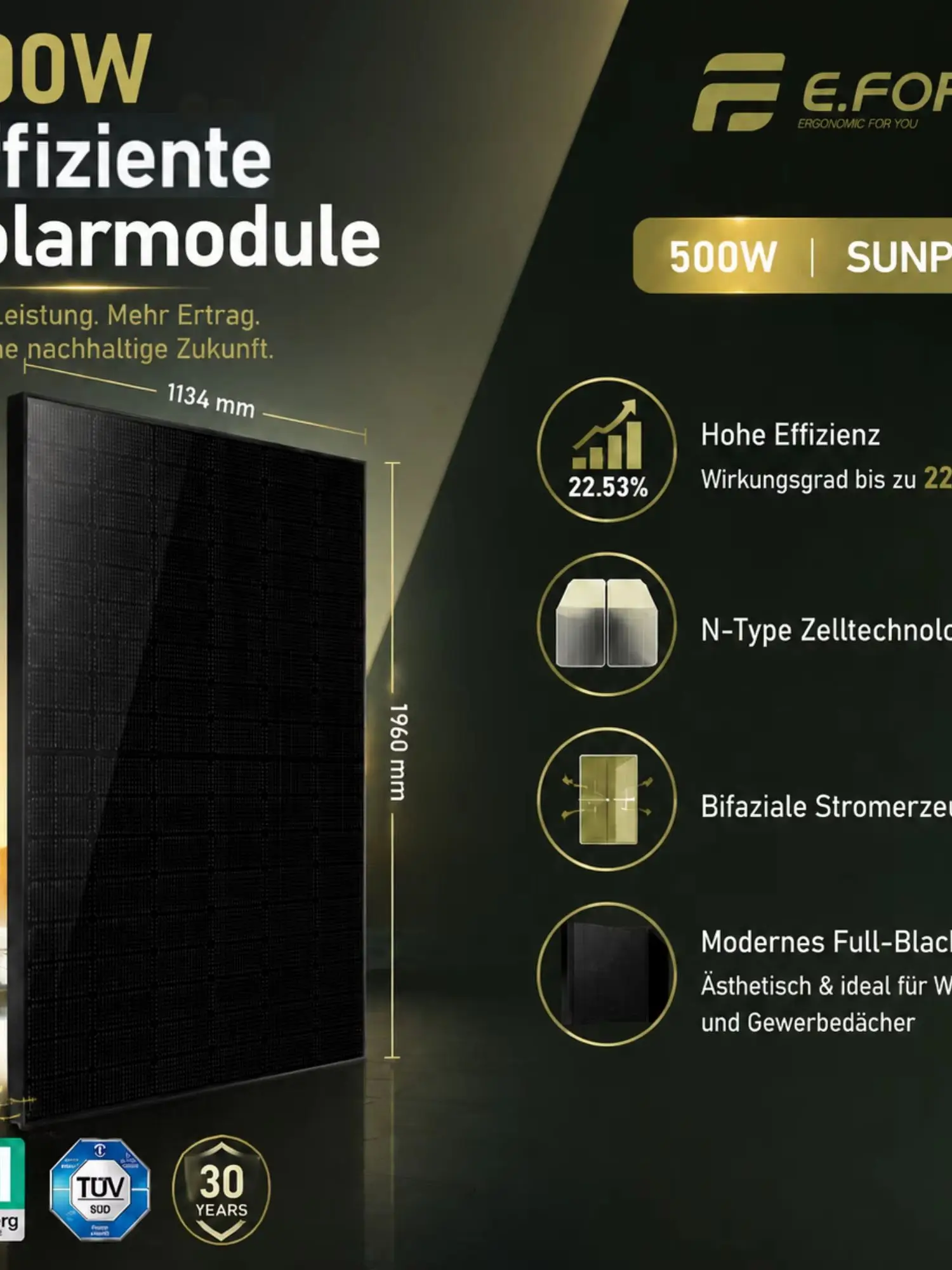 Solarmodul 500W, vollständig schwarzes bifaziales Glas-Photovoltaik-Panel (1–37 Stück wählbar)