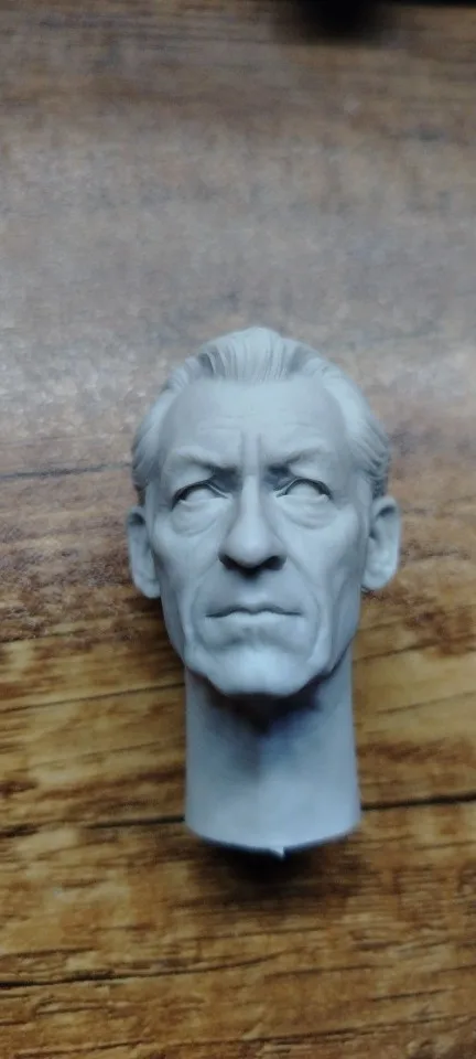 Buyer photo of this resin kit
