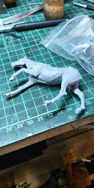 Buyer photo of this resin kit