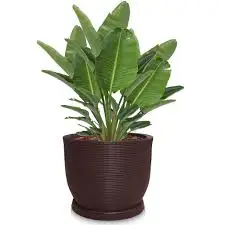 المزهريات الديكور 15