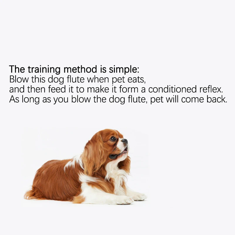 Thumbnail 4 - #21 Latest Dog Training Whistles Offers