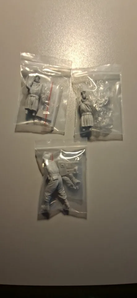 Buyer photo of this resin kit