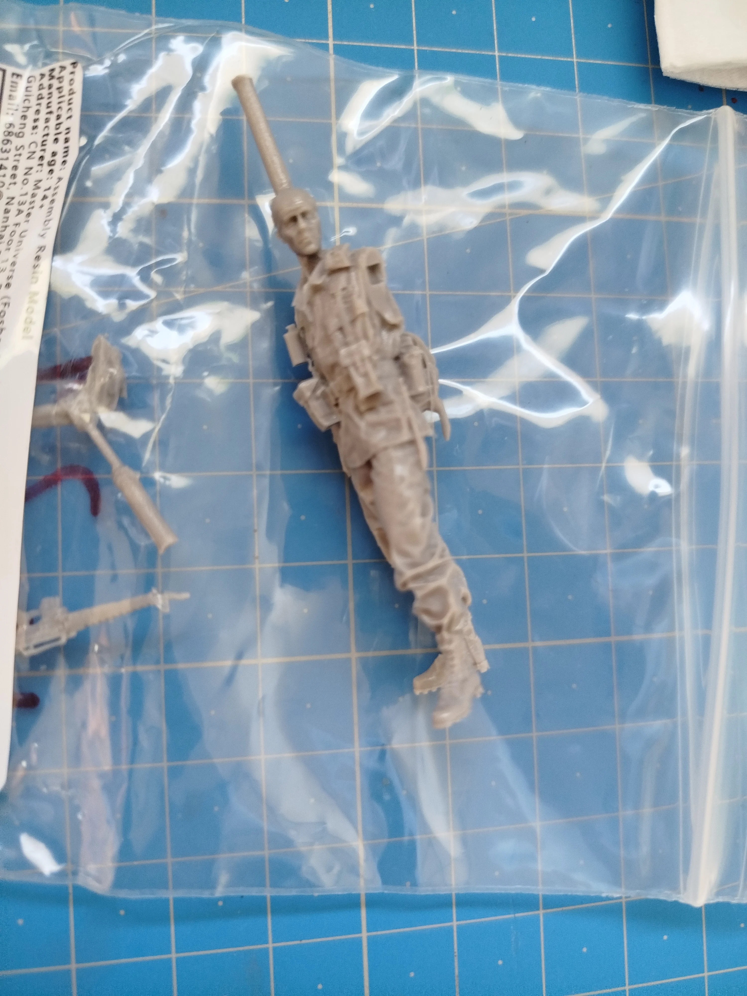 Buyer photo of this resin kit
