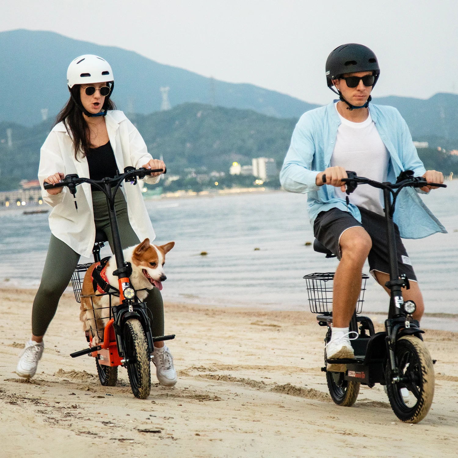 Vélo électrique en acier au carbone, 48V, 500W, pour adulte, bicyclette à absorption multi-chocs, avec panier, pneus de route de 14 pouces