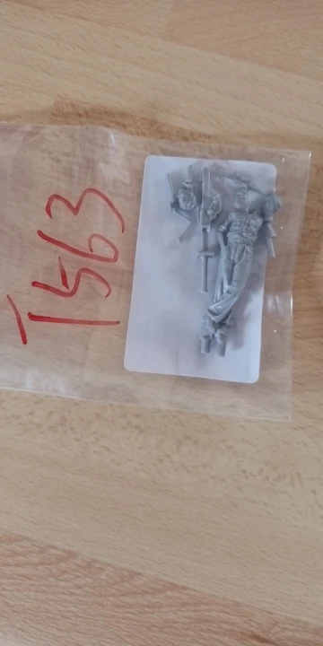 Buyer photo of this resin kit