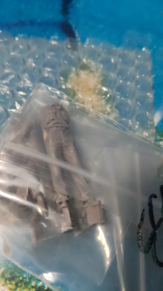 Buyer photo of this resin kit