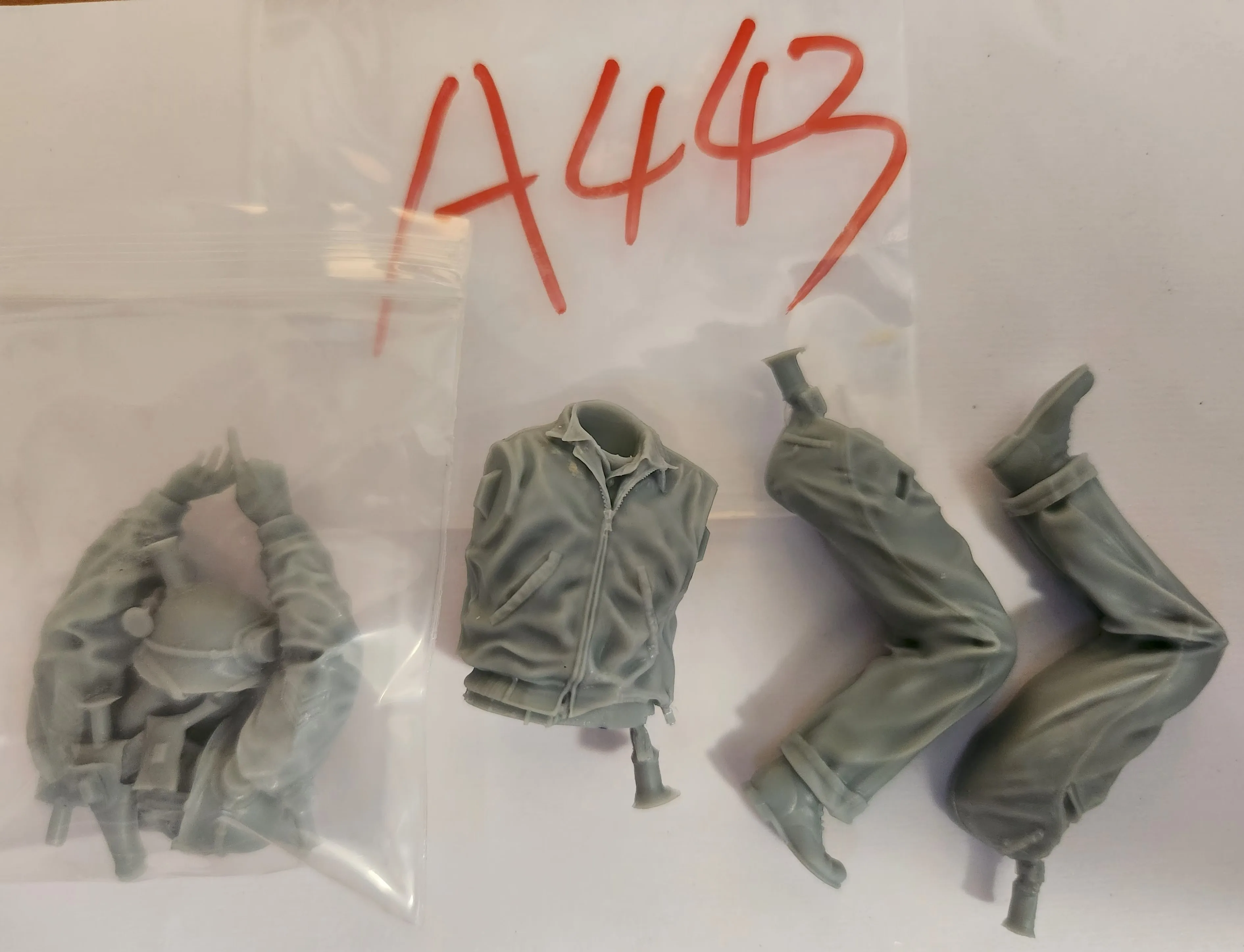 Buyer photo of this resin kit